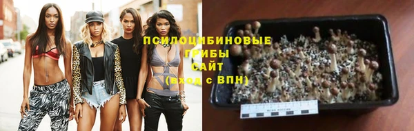молекула духа Михайловск