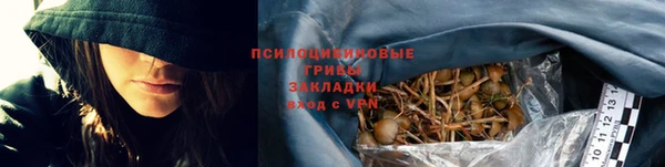молекула духа Михайловск