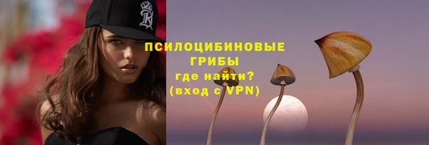 герыч Мегион