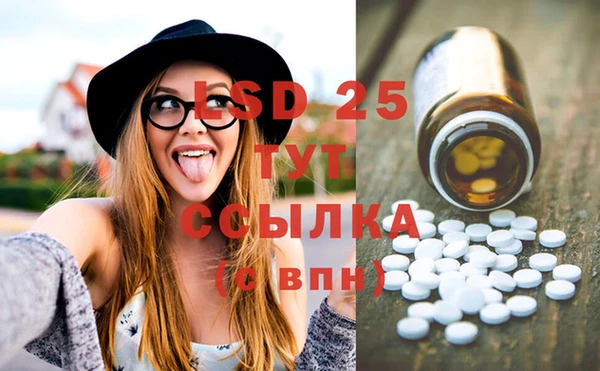 молекула духа Михайловск