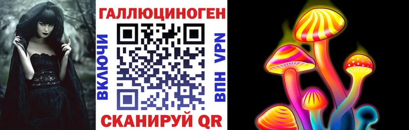omg   Задонск  Псилоцибиновые грибы Cubensis 